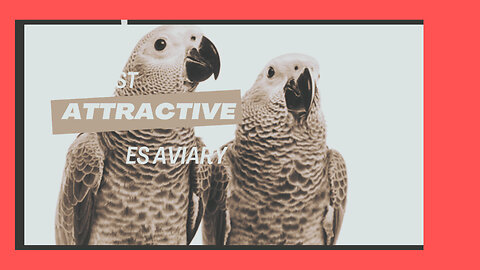 Fly High, Dream Big: Welcome to ES Aviary