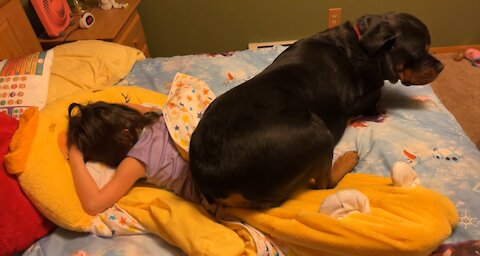 Rottie Says It’s Time To Get Up!