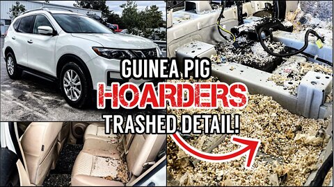 Hoarder's ABANDONED Guinea Pig Trashed Car Cleaned For The First Time | Insane Detailing Restoration