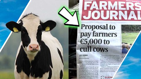 Ireland Farmers Offered 💰💲 To Cull Cows / Hugo Talks