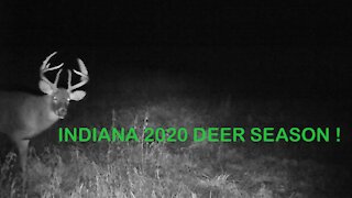 INDIANA DEER SEASON RECAP!