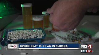 Study shows opioid deaths declining in Florida