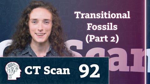 Here’s how to think biblically about “transitional fossils” (CT Scan, Episode 92)