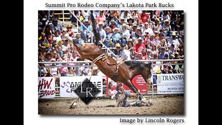 2021 Elizabeth Stampede Rodeo Recap