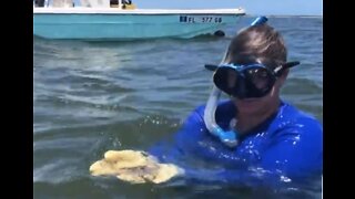 Treasure Coast woman gives oyster farming a go