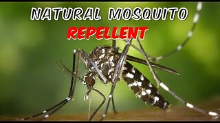 Natural Mosquito Repellent