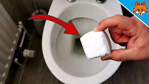 Better than ANY cleaner ⚡️ Throw THIS in your Toilet and BE AMAZED 💥