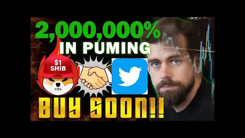 Twitter CEO Announced Shiba Inu Coin Price will hit $0.1 Soon!!
