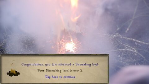 Leveling up my Firemaking: Road to 99 (Bushcraft Skills #01)