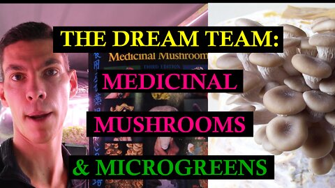 Would MICROGREENS and MEDICINAL MUSHROOMS be the Market Gardening Dream Team?