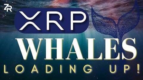 XRP Whales Loading Up! $14 Trillion Prediction!