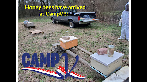 Setting up the bee yard at CampV