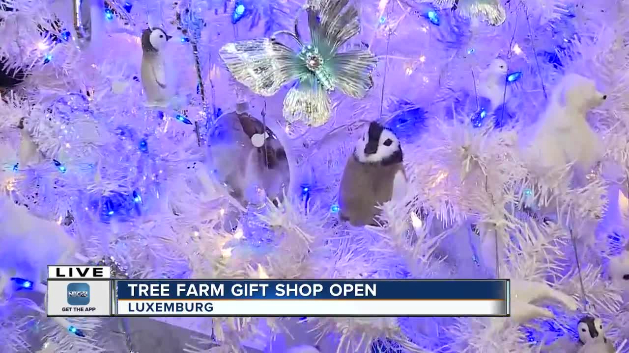 Aissen Tree Farm open for the season