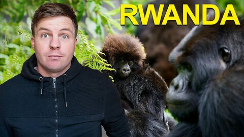 GORILLA TREKKING in Rwanda - Ultimate Bucket List (2023)