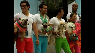 Doggy Fashion Show