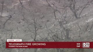 Telegraph Fire continues to grow