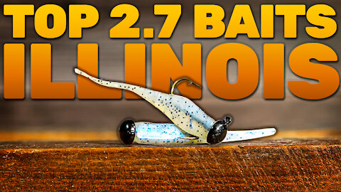 The Best Panfish Baits for Illinois (TOP 2.7 PICKS!)