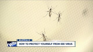 How to protect yourself from the EEE Virus