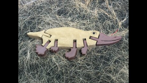 3D Printed Patrick the Platypus