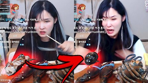 Streamers Food comes back to LIFE while she's prepping it!