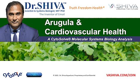 How Arugula Affects Your Cardiovascular System. A CytoSolve Systems Biology Analysis.