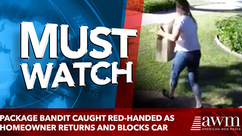 Package Bandit Caught Red-Handed as Homeowner Returns