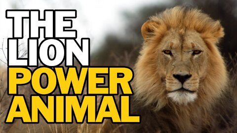 The Lion Power Animal