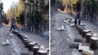 Long line of logs amazingly split in under a minute