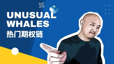 🔥Unusual Whales热门期权链心得分享与实战 | Unusual Whales搜索期权异动大单小技巧 | 热门期权链应用