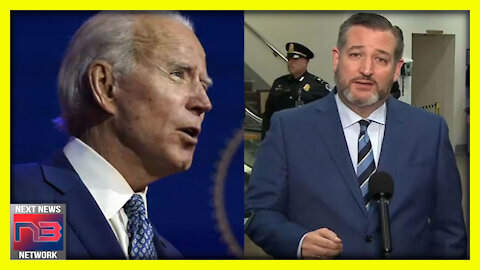Ted Cruz notices ONE Thing Biden’s Cabinet Members Have in Common