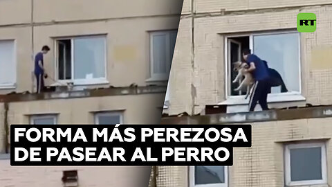 Residente de San Petersburgo inventa la forma más perezosa de pasear a su perro