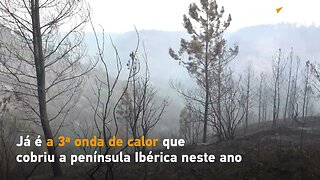 Incêndios em massa assolam sul de Portugal