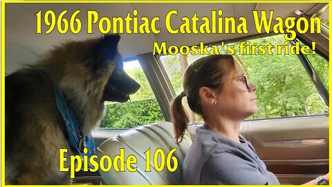 66 Pontiac Catalina Wagon part 106: Mooska's grand adventure!