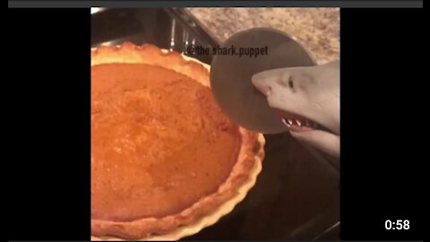 Shark puppet makes pumpkin pie