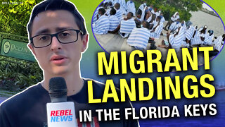 263 migrants taken into custody in Florida since Friday, Aug. 5