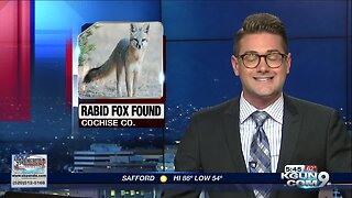Cochise County warns of rabid fox