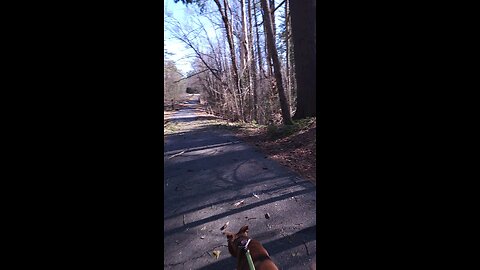 Walking thru my Hometown during the Solar Eclipse of 2024 in Windham in Maine