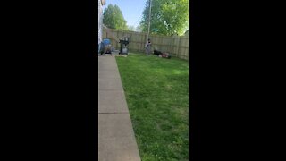 Maci Cutting grass