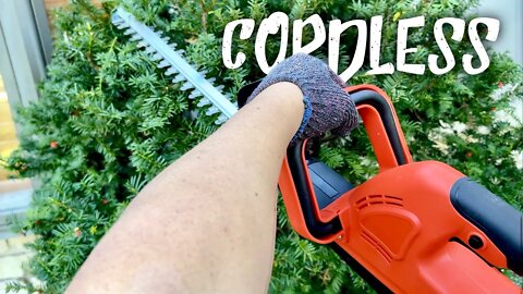 Cheapest Cordless Hedge Trimmer