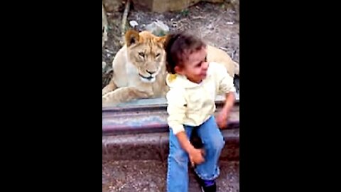 Funny Babies playing with animals at the Zoo