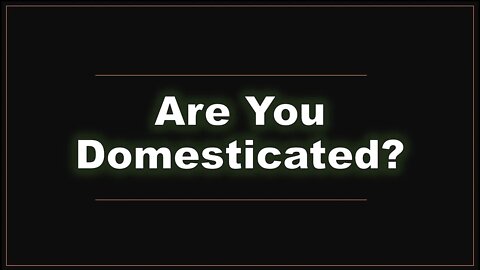Are You Domesticated - Pastor Ben (The Lampstand - Hallettsville)