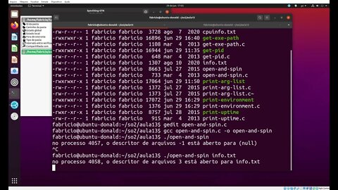 open-and-spin.c - Abrindo um Arquivo para Leitura e Verificando seu Descritor de Arquivos no Linux