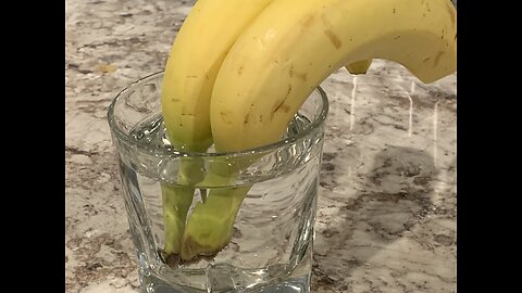 How to Keep Bananas Fresh Longer ?