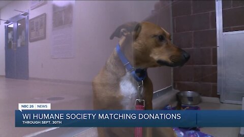 IN DEPTH: WI Humane Society matching donations