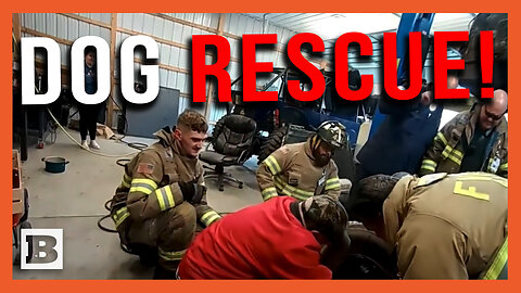 Hot Dog! First Responders Use Plasma Cutter to Free Pup Stuck in Tire