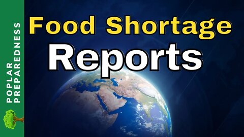 Food Shortage Update - SUBSCRIBER REPORTS - Empty Shelves (April 30th)