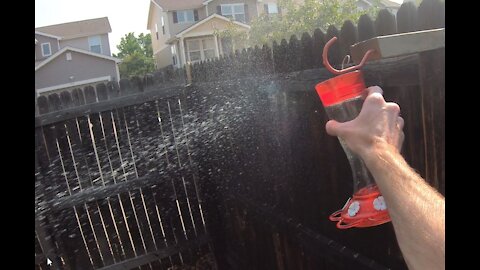 Wasps Invade the Hummingbird Feeder vs. The Drone