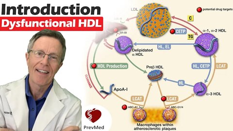 Dysfunctional HDL - Introduction