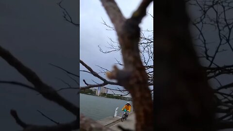 helmet cam: 1 low-hanging tree branch: 0 #bikecommute