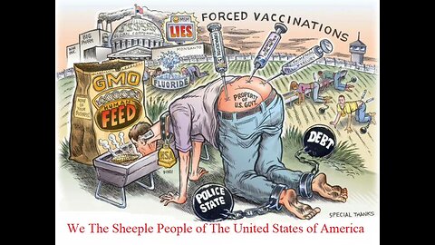 We The Sheeple People of The United States of America and A Real Bill of State Rights